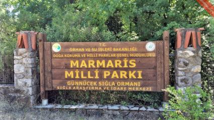 Milli parklar ve tabiat alanları bayramda ziyaret&ccedil;ilerini ağırlamaya hazır