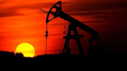 4 dev kurumdan ortak petrol a&ccedil;ıklaması: Risk artıyor
