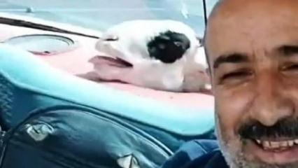 Bagajdaki kurbanlık koyunla g&uuml;l&uuml;mseten selfie yolculuğu