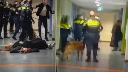 Barbar Avrupa yine sahnede: Filistinli hamile kadını yerden yere vurdular!