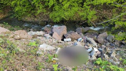 D&uuml;zce'de &ouml;l&uuml; olarak bulunan adamın cinayete kurban gittiği ortaya &ccedil;ıktı 