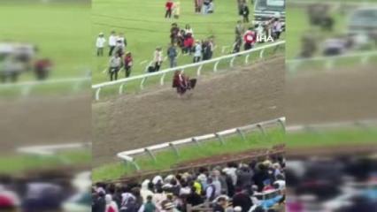 Japonya&rsquo;daki festivalde at faciası: Kalabalığın arasına daldı, 6 kişi yaralandı