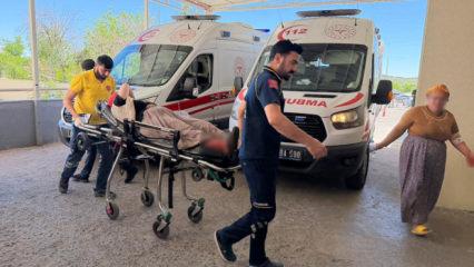 Şanlıurfa'da yılan avı: 3'&uuml; &ccedil;ocuk 5 yaralı! 