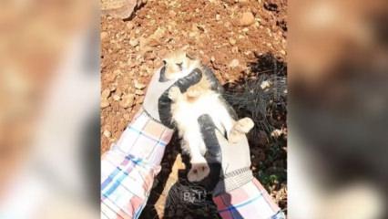 Ot sandı, yavru tavşan &ccedil;ıktı! &Ccedil;ift&ccedil;inin konuşması sosyal medyayı salladı