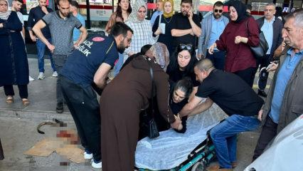 Elazığ'da terminalde dehşet anları: Kurt cinsi k&ouml;pek kadına saldırdı
