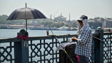 Haziran sıcak başladı! İstanbul'da 30 derece g&ouml;r&uuml;lecek, tarih belli oldu