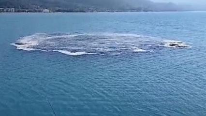 Kastamonu'da ilgin&ccedil; olay: Deniz 10 dakika boyunca kabarınca vatandaşlar panik yaşadı
