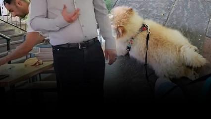 K&ouml;pek yasağını bahane edip hesabı &ouml;demedi