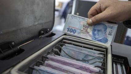 Varlık barışı Resmi Gazete'de! Kazancını T&uuml;rkiye'ye getirene 20 yıl vergi yok