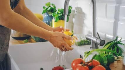 Asla yıkanmaması gereken 15 yiyecek! Sakın bu hatayı artık yapmayın