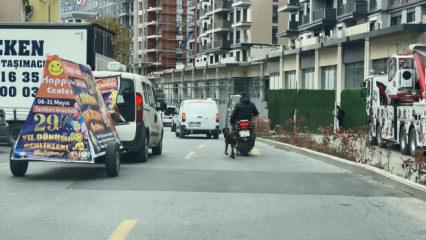 Motosiklete bağladığı k&ouml;peği metrelerce koşturdu