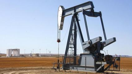 OPEC'in g&uuml;nl&uuml;k ham petrol &uuml;retimi mayısta 180 bin varil azaldı