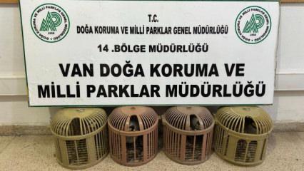 Van&rsquo;da ka&ccedil;ak avcıya jandarma ve milli parklar engeli!