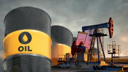 Zorunlu petrol stoklarını yerine koyma s&uuml;resi uzatıldı! EPDK duyurdu