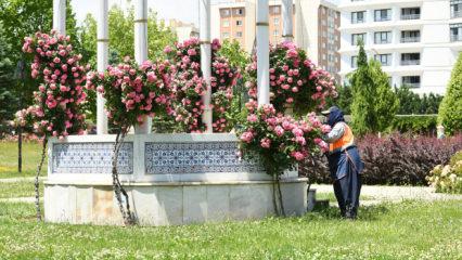 Konya B&uuml;y&uuml;kşehir, cadde ve parkları &ccedil;i&ccedil;eklerle donattı 
