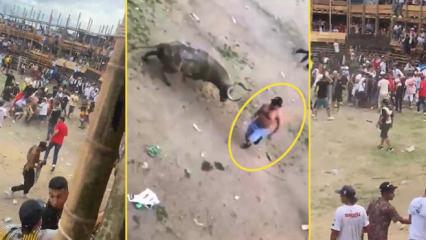 İnsanlık dışı boğa g&uuml;reşi festivali kana bulandı! 'Y&uuml;zyıllık bir tarihin son yılı olacak'