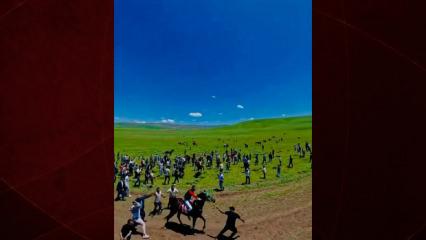 At yarışında skandal g&ouml;r&uuml;nt&uuml;ler: Koşmuyor diye acımasızca vurdular