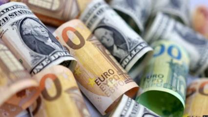 Bu para &ccedil;ok değerlendi: Ne dolar, ne Euro! Dev banka duyurdu