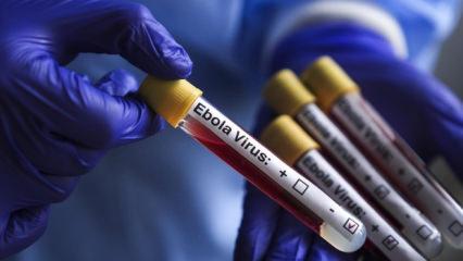 İsrail&rsquo;de ilk Ebola ş&uuml;phesi! Bir kişi karantinaya alındı