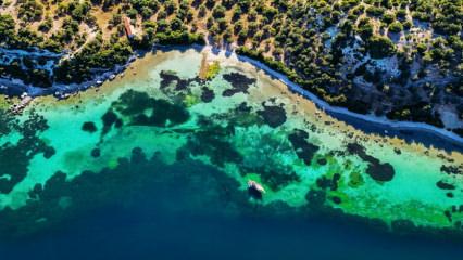 İzmir&rsquo;in koyları ve adaları ile &uuml;nl&uuml; destinasyonu: Dikili