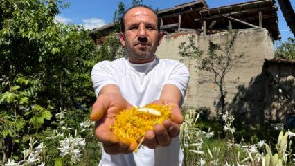 &Uuml;retimi birden bire yaygınlaştı! Litresi 270 bin TL'den satılıyor 