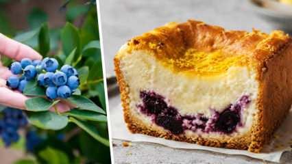 Yazın en hafif lezzeti: Yaban mersini dolgulu cheesecake tarifi!