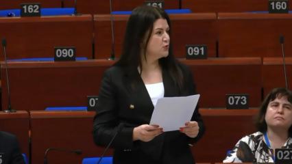 AKPM'de tarihi karar: T&uuml;rk Parlamenterin raporu Avrupa hukukuna girdi