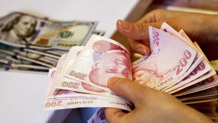 Ayda 139.000 TL maaş verilecek! İşte, aranan tek şart...
