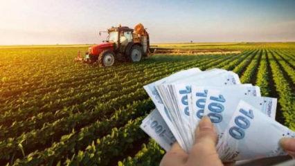 &Ccedil;ift&ccedil;inin beklediği haber geldi! Destek &ouml;demeleri hesaplarda