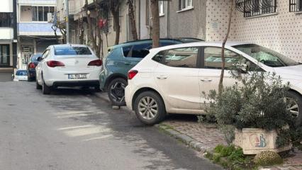 İstanbul&rsquo;da, Park Edip Devam Edemiyoruz