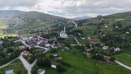 Kartpostalları aratmıyor! &Ccedil;ambaşı Yaylası doğasıyla hayran bıraktı