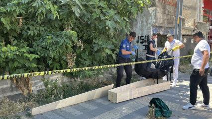 Kaybolan kedisini ararken ceset buldu