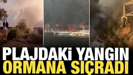 4 kişi yaralandı: İstanbul'da plajdaki yangın ormana sı&ccedil;radı
