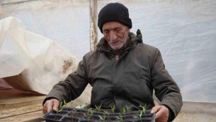 Bayburtlu &ccedil;ift&ccedil;i ata tohumlarını yaşatmak i&ccedil;in &uuml;cretsiz fide dağıtıyor