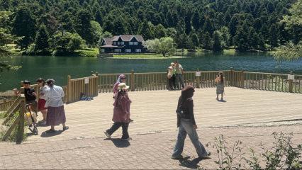 Bolu&rsquo;da ferahlatan ka&ccedil;ışın adresi: G&ouml;lc&uuml;k Tabiat Parkı