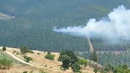 Bursa'da korkutan orman yangını