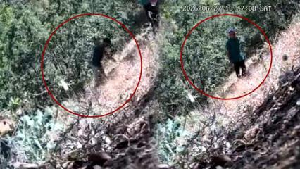  CHP'li belediye başkanı ve oğlu kenevir ekerken foto kapana yakalandı