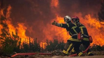 Fransa'da 900 hektarlık orman k&uuml;le d&ouml;nd&uuml;