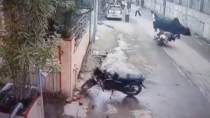 Hindistan'da dehşet anları: Kontrolden &ccedil;ıkan boğa motosikletli kadını bi&ccedil;ti