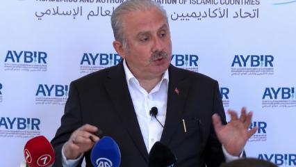 İstanbul'da "Suriye'de Yeni Anayasa ve Toplumsal Barış" paneli d&uuml;zenlendi
