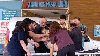Bursa'da mantar toplamaya giden imam ağır yaralandı 