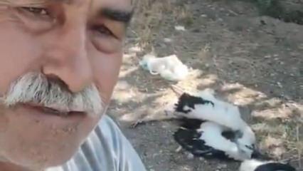 &Ccedil;ankırı'da bah&ccedil;esindeki leyleklerin &ouml;ld&uuml;ğ&uuml;n&uuml; g&ouml;ren adam g&ouml;zyaşlarını tutamadı
