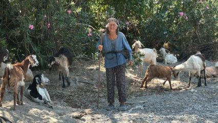 90 yaşındaki &ccedil;obanı g&ouml;ren hayret ediyor 
