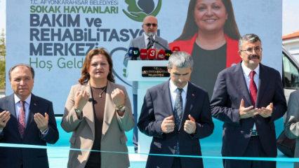 Afyonkarahisar'da yeni d&ouml;nem: Sokak hayvanları i&ccedil;in dev rehabilitasyon merkezi