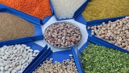 D&uuml;nyayı 'S&uuml;per El Nino' vurdu: T&uuml;rkiye &uuml;retim &uuml;ss&uuml; oldu: 5,8 milyar dolarlık bereket!