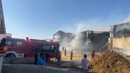 Şanlıurfa'da hayvan &ccedil;iftliğinde yangın