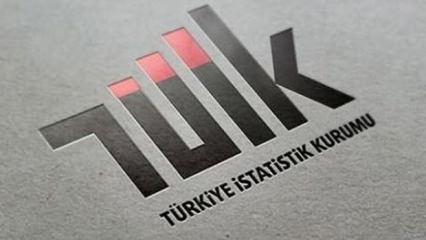 T&Uuml;İK a&ccedil;ıkladı: En &ccedil;ok kazandıran yatırım aracı belli oldu!