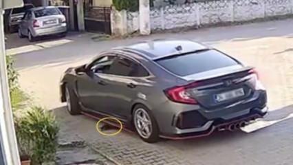 Y&uuml;rek burkan g&ouml;r&uuml;nt&uuml;: Sokağa bıraktığı kedi aracının altında ezildi
