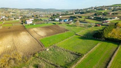 Arsa yatırımcısı Anadolu'ya y&ouml;neldi! İstanbul hem pahalı hem yer kalmadı!