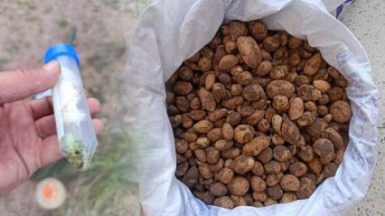 Bing&ouml;l&rsquo;de izinsiz salep toplayan ve biyoka&ccedil;ak&ccedil;ılık yapan ş&uuml;phelilere 4 milyon lira ceza